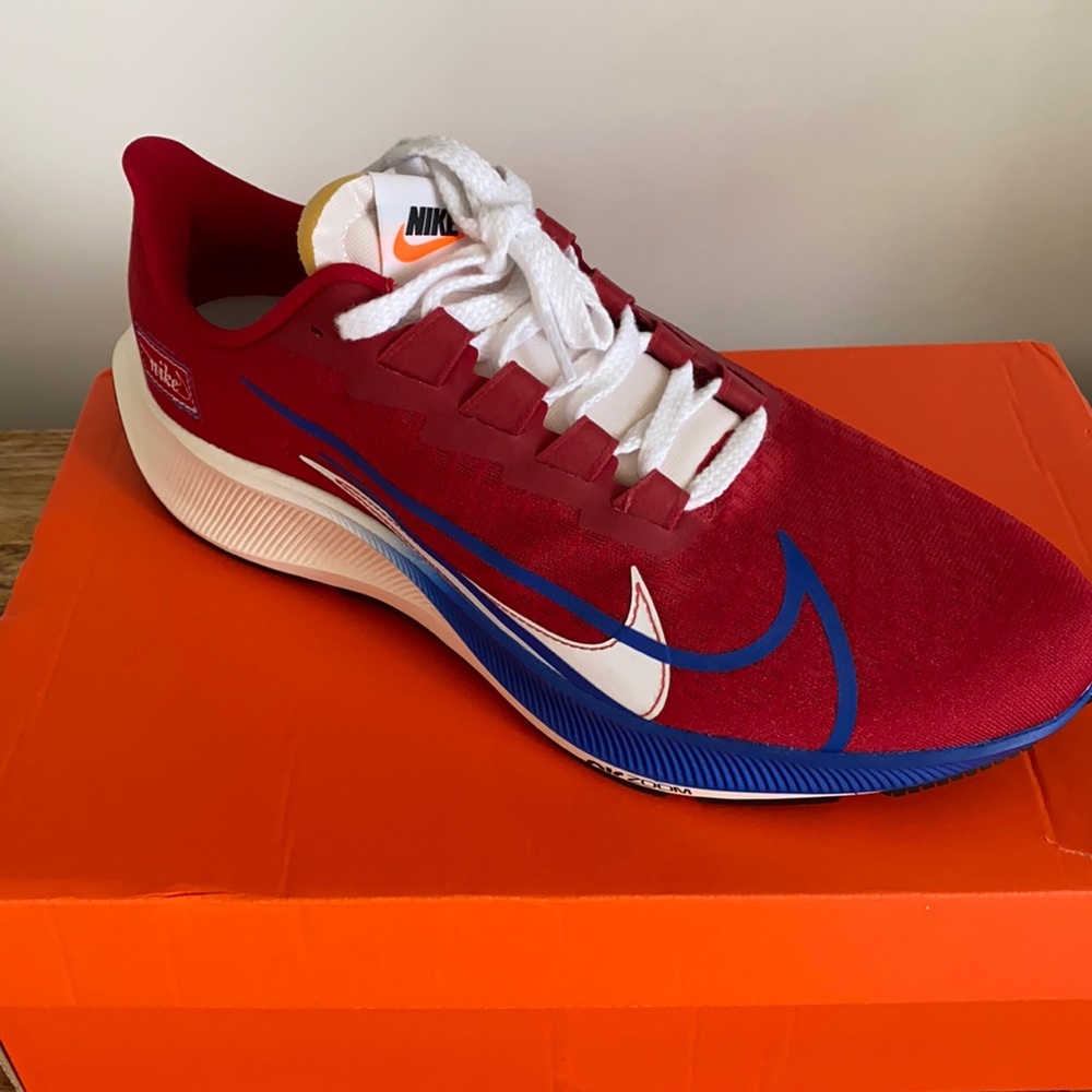 Nike Zoom Pegasus